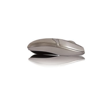 Image of a computer mouse 
